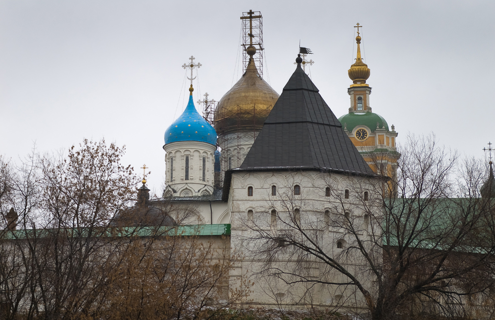 Западная башня и собор Спаса Преображения Новоспасского монастыря